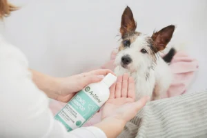 A person dispenses AniForte Neemöl Shampoo for a wet dog, highlighting the growth of Pet Care Retail Expansion.